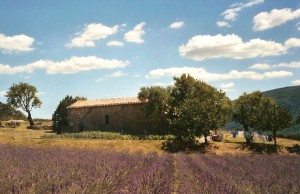 Savons Provence
